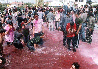 photo ny Pravesh Chauhan