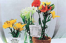 The competition in cut flowers is tough