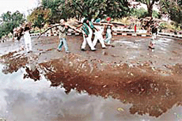 Protesting farmers carry firewood for the langar near Rose Garden, Chandigarh, on Wednesday.