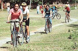 Participants during the three-lap cross-country massed-start race of the Chandigarh Cycling Championships