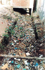 The blocked nullah near the Bhadaur House market, Ludhiana, which has become a health hazard for those who live nearby. 
