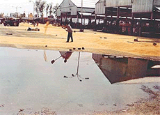 Rain water accumulated in Jagraon mandi and a farmer in the background dries his wheat.