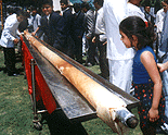 A girl looks at the world's largest dosa, a rice pancake, during a presentation in western Indian city of Ahmedabad, April 16, 2001.