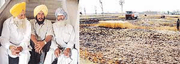 Ranjit Singh and Harbans Singh (Right) the paddy damaged by the fire caused due to sparking in the electricity wires.