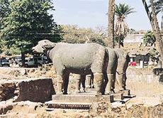 The stone buffaloes at Mandakni Tank, at Achalgarh