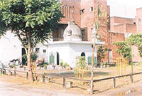 A mosque-like structure built on a PUDA land in MIG Colony, Jamalpur, by an accused in a number of cases