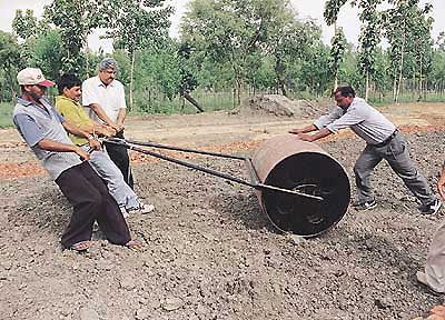 photo by Pravesh Chauhan