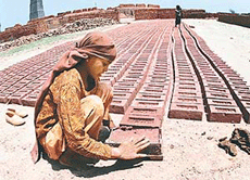 The scorching Sunday sun fails to deter 10-year-old Khurshida, who is forced by circumstances to supplement the meagre earnings of her family by working at a brick-kiln at Togan village near Chandigarh.