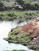 A view of the Budha Nullah passing through Ludhiana.