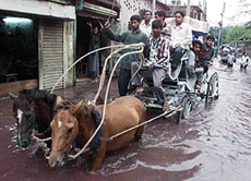 A horse-driven cart makes its was down a flooded street in Dhaka on Tuesday.