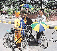 Umbrellas provide relief to all from the oppressive heat of the summer.
