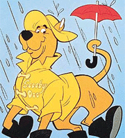 Scooby Doo: All-new series on Cartoon Network