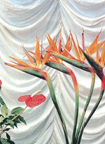 �Bird of Paradise� is eye-catching
