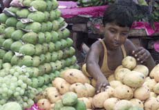 Twelve-year-old Mohammed Sajjad arranges mangoes he will sell to office-goers during lunchtime in Calcutta on May 16, 2001.