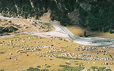 A camp for pilgrims at Baltal
