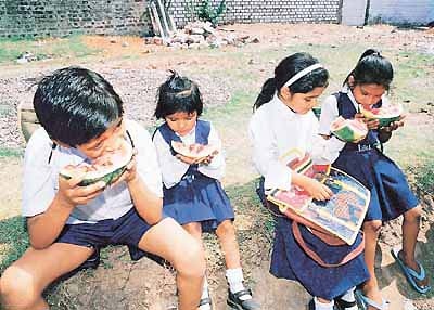 pix by Pankaj Sharma