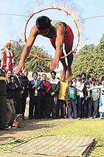 An acrobat exhibits his skills at the Punjabi Mela in the Capital on Friday.