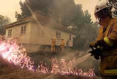 Bush firefighters douse a fire around a house in the Blue Mountains suburb of Woodforde, west of Sydney, on Friday.