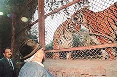 The Punjab Governor, Lieut-Gen J.F.R. Jacob, stands near a tiger enclosure in the Chhat Bir zoo on Saturday.