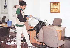 The anti-sabotage team looks for a bomb in the Sector 11 branch of the Bank of Punjab in Panchkula on Saturday.