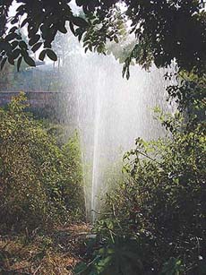 The area adjacent to the Sector 31 petrol station in Chandigarh has been inundated on account of a massive fissure in the drinking water supply pipe.