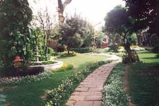 Prabha Jain mothers her garden