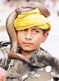 Vinod, a 12-year-old snake-charmer