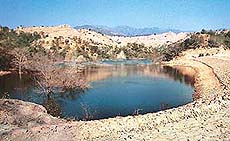 A view of the earthen dam constructed in drought-hit Bharauli village of Barwala block that was inaugurated on Friday.
