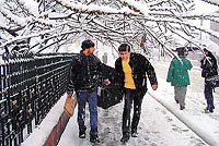 A view of the snowfall in Srinagar where about 6 inches of snow accumulated on the ground as the Kashmir Valley was cut off from the rest of the country on Thursday.