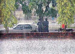 HAIL BOUNTY: Sudden hailstorm caught many by surprise on Friday afternoon in Chandigarh. 