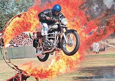 A BSF Dare Devil leaps through a flaming ring during a demonstration at the closing ceremony of the 8th National Adventure Festival in Chandigarh on Saturday. 