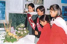 Students participate in the painting and flower arrangement competition organised during the inter-college cultural festival, organised at Guru Nanak Khalsa College, Model Town, on Saturday. 