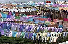 Laundry dries on the bank of the Gomti river