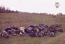 The aftermath of a massacre by Serb forces of ethnic Albanians