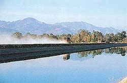 Residents of Sundernagar and Sadar subdivisions have been living with pollution