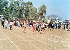 Students participate in the Annual Sports Meet of S.D. Government College, Ludhiana, on Friday.