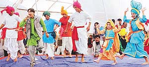 Artistes perform at Sir Chhotu Ram 121st birth anniversary and the Basant Panchami celebrations function at Jat Bhavan, Sector 27, Chandigarh, on Sunday.