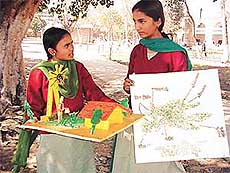 Class X students of Government Senior Secondary School show their science models after the board practicals in Ludhiana on Tuesday.