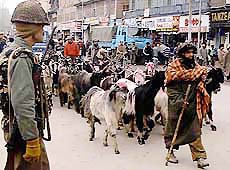 A jawan keeps a vigil