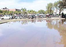 PARKING LOT OR BOAT DOCK? A parking lot in front of Arts Block-I, Panjab University, Chandigarh, inundated with rainwater on Tuesday.