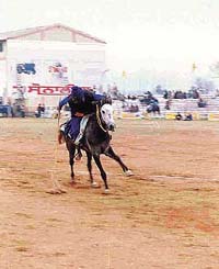 A nihang displays his skill in the tent-pegging competition at Kila Raipur 