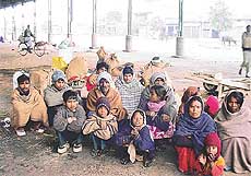 Bonded labourers rescued by the Dalit Dasta Virodhi Andolan in Ludhiana on Saturday.