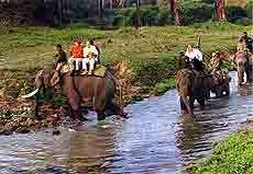US Ambassador to India Robert Black Will