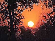 Gold spot in the evening sky