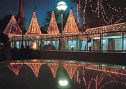 The Pracheen Shiv Mandir Shivalaya Khempuri, Sector 24, decked up on the eve of Shivaratri in Chandigarh on Monday.
