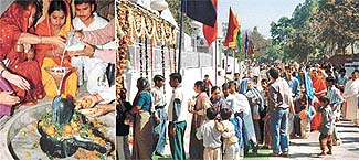 Devotees offer milk to Sivalingam