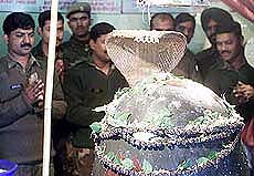 Soldiers offer prayers to Lord Shiva on the occasion of Shivratri in Srinagar  