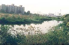 Faridabad residents are making a stink about the open drain in Sector-21 C. 