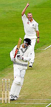 Matthew Hoggard celebrates the wicket of Daniel Vettori