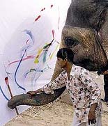 An elephant paints a large canvas